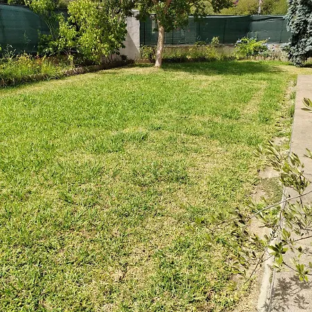 Emplacement Nu Sur Pour Tentes Dans Jardin Clos Et Prive Bayonne